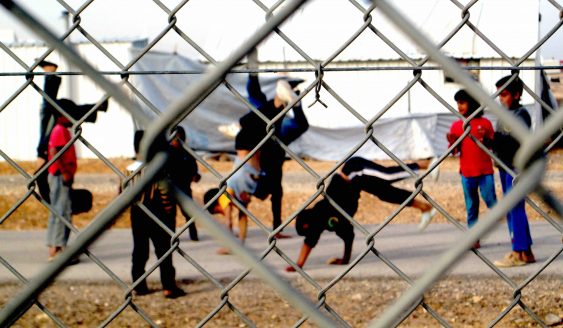 Capoeira for Refugees