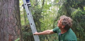 Forstamt in Jabel