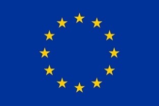 European Politics Simulation